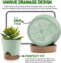 YNNICO Indoor Self Watering Planters with Drainage Holes and Saucers, 9,8, 7.5 Inches, Green, 3 Pots (Springgreen) 9+8+7.5 inch Springgreen