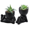 Der Rose Set of 2 Fake Plants Artificial Succulent Plants for Office Desk Accessories Black Bathroom Home Room Aesthetic Decor Indoor Black 2