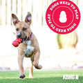 KONG Puppy Binkie - Pacifier Dog Toy for Puppies - Stuffable Treat Chew Toy for Treats - Durable Natural Rubber for Teething Puppy - for Medium
