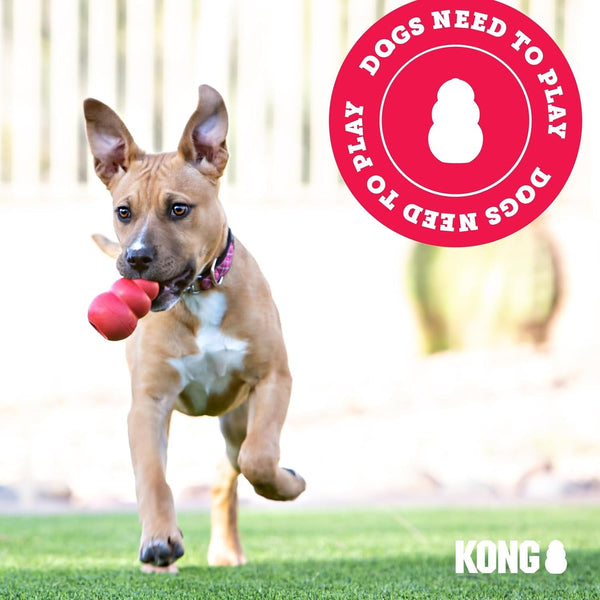KONG Puppy Binkie - Pacifier Dog Toy for Puppies - Stuffable Treat Chew Toy for Treats - Durable Natural Rubber for Teething Puppy - for Medium