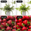 2 Pack LED Grow Light Bulbs A19 Bulb, Full Spectrum Plant Light Bulb, 9W E26 Grow Bulb Replace up to 80W, Grow Light for Indoor Plants, Flowers,