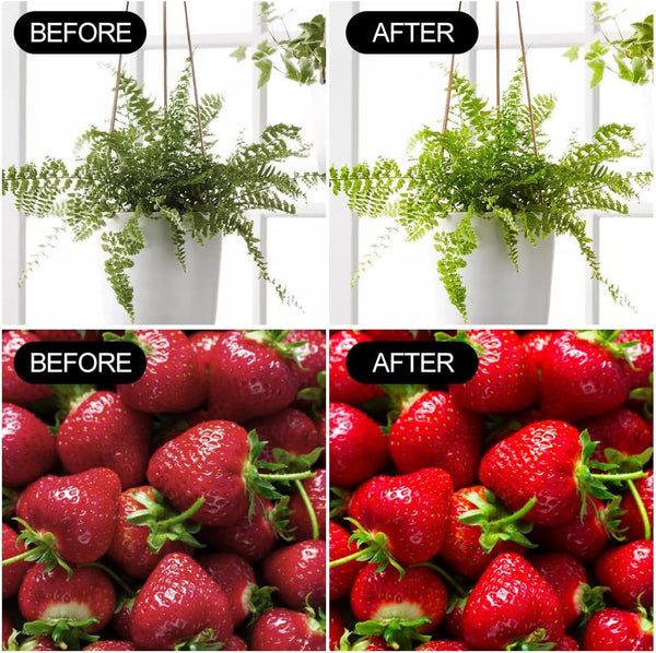 2 Pack LED Grow Light Bulbs A19 Bulb, Full Spectrum Plant Light Bulb, 9W E26 Grow Bulb Replace up to 80W, Grow Light for Indoor Plants, Flowers,