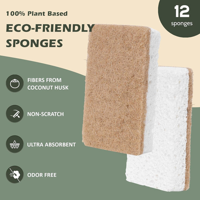 Plant-Based Kitchen Sponges - FSC Certified and PETA Approved, Natural, Eco-Frie