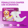 HONEY CARE All-Absorb Disposable Female Dog Diapers Small Size, Improved, 40 Count, Super Absorbent, Breathable, Wetness Indicator (Pack of 1, 40