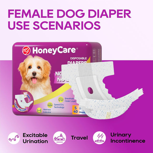 HONEY CARE All-Absorb Disposable Female Dog Diapers Small Size, Improved, 40 Count, Super Absorbent, Breathable, Wetness Indicator (Pack of 1, 40