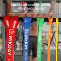 Resistance Bands, Pull up Bands, Workout Bands for Exercise, Thick Heavy Resistance Band Set with Door Anchor, Elastic Bands for Body Stretching,