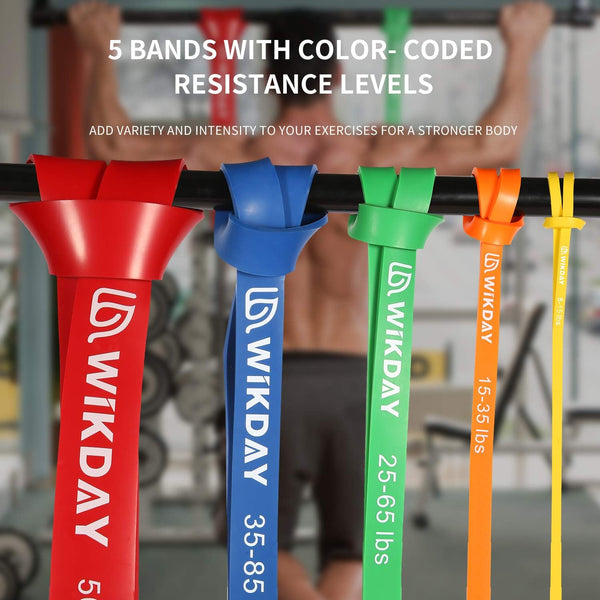 Resistance Bands, Pull up Bands, Workout Bands for Exercise, Thick Heavy Resistance Band Set with Door Anchor, Elastic Bands for Body Stretching,