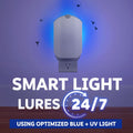 Zevo Flying Insect Trap - Plug-in Indoor Fly Trap and Bug Light Trap Refill with Blue and UV Light - No-Mess Cartridge for House Flies, Fruit Fly
