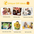 Birthday Gifts for Women, Sending Sunshine Christmas Gifts, Get Well Soon Gifts Basket Care Package Unique Spa Gifts Box with Wine Glasses for