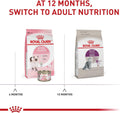 Royal Canin Feline Health Nutrition Sensitive Digestion Adult Dry Cat Food, 3.5 lb Bag 3.5 Pound (Pack of 1)
