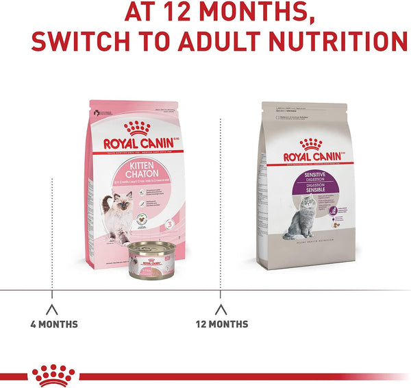 Royal Canin Feline Health Nutrition Sensitive Digestion Adult Dry Cat Food, 3.5 lb Bag 3.5 Pound (Pack of 1)