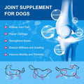 NATURE TARGET Dog Vitamins Powder, Probiotics & Digestive Enzymes for Gut Health, Glucosamine & Chondroitin & Omega 3, Complete Supplement for