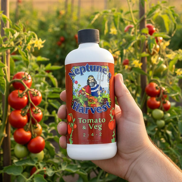 Neptune’s Harvest Organic Tomato & Vegetable Plant Fertilizer (2-4-2) - Liquid Plant Food w/Fresh Fish, Seaweed, Molasses, Yucca Extract, & Humic