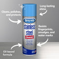 Sprayway Water-Based Stainless Steel Cleaner, 15 Fl Oz (Pack of 1) 15 Ounce (Pack of 1)