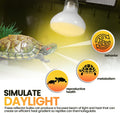 CALPALMY (4-Pack 100W Reptile Heat Lamp Bulbs - UVA Daylight Basking Light Bulbs for Reptiles, Turtles, Lizard, Bearded Dragon and Amphibians -