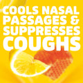 HALLS Cough & Throat Relief Honey Lemon Sugar Free Cough Drops, 180 ct | No Synthetic Dyes, Bulk Pack Honey-Lemon 180 Count (Pack of 1)