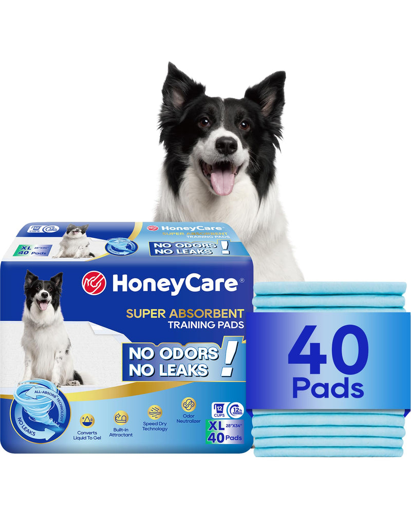 HONEY CARE All-Absorb, X-Large 28" x 34", 40 Count, Dog and Puppy Training Pads, Ultra Absorbent and Odor Eliminating, Leak-Proof 5-Layer Potty