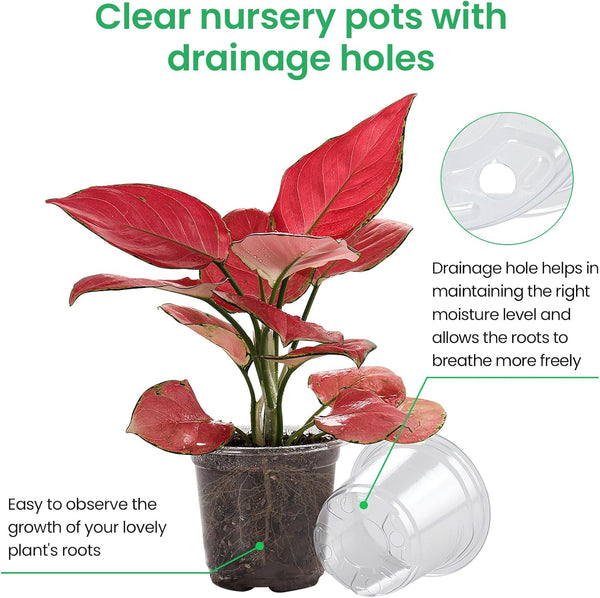 Bluepro 36 Packs 5/4/3.5 Inch Reinforced Clear Nursery Pots with Drainage Hole, Transparent Variety Pack Plastic Plant Pot Seedling Planter for