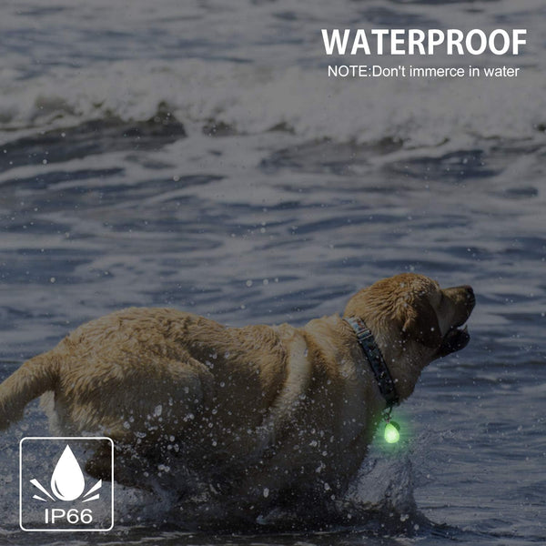 2-Pack Rechargeable Dog Light, Dog Collar Light,Waterproof ,3 Modes LED Dog Safety Lights,Multiple Color Options,Clip On Collar, Leash or