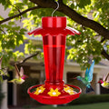 Fchstaer Plastic Hummingbird Feeders for Outdoors Hanging, 2 Pack 10 OZ Red Humming Bird Feeder with 6 Feeding Ports and Perch, Built-in Ant Moat,