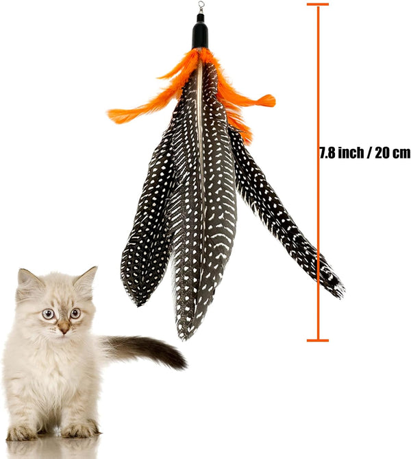 Cat Feather Toys Refill, 6 Pieces Cat Wand Attachments Da Bird Feathers Toy for Indoor Cats 6 PCS Cat Toy Feather Refills
