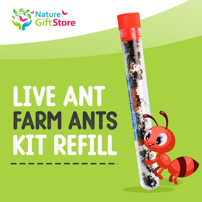 Live Ant Farm Ants (1 Tube of Ants) plus Ant Book- Bundle
