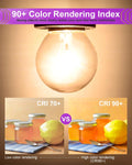 MEQIQTEK Scentsy Light Bulbs for Warmer - 25 Watt Bulb for Large Size Wax Melt Warmers, Replacement Bulb for Wax Warmer Burner Candle Warmer - G16