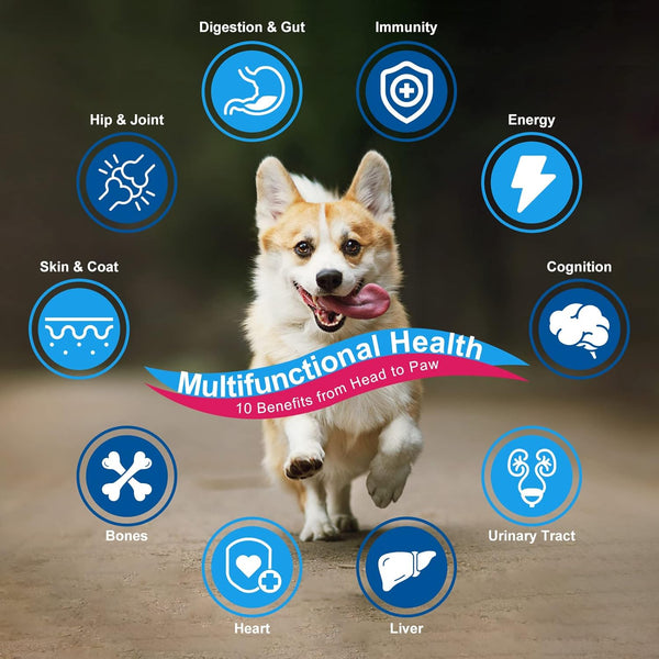 NATURE TARGET Dog Vitamins Powder, Probiotics & Digestive Enzymes for Gut Health, Glucosamine & Chondroitin & Omega 3, Complete Supplement for