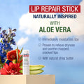 Aquaphor Naturally Inspired Lip Repair Stick with Aloe Vera and Natural Shea Butter, Hydrating Lip Balm Immediately Relieves Dryness, 0.17 Oz Stick