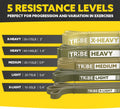 Long Resistance Bands for Working Out Men and Women - Set of 5 Pull-Up Bands, Rubber Handles and Door Anchor - Workout Bands Resistance for Men -