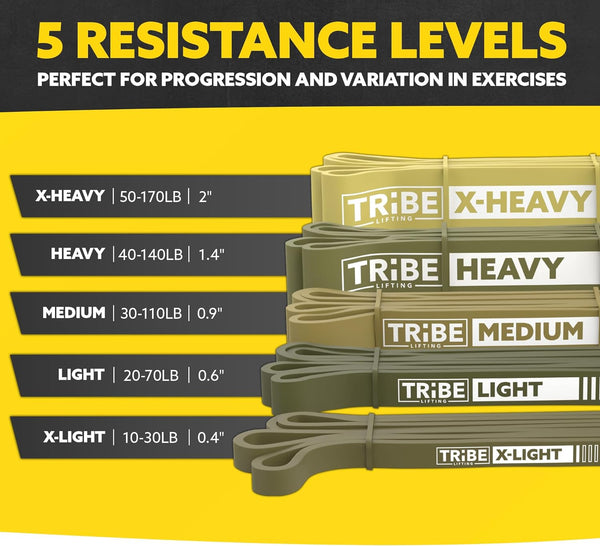 Long Resistance Bands for Working Out Men and Women - Set of 5 Pull-Up Bands, Rubber Handles and Door Anchor - Workout Bands Resistance for Men -