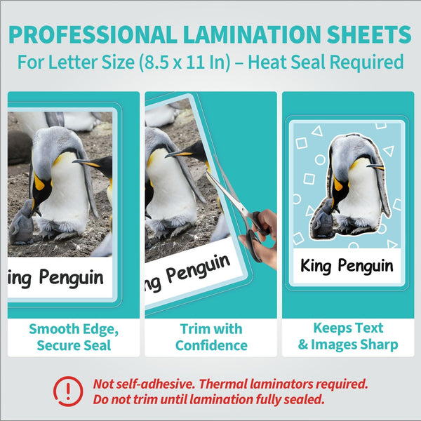 Binditek 100 Pack 3 Mil Thermal Laminating Pouches, 9x11.5 Inches Laminating Sheets, for Letter Size, Ultra Clear, Glossy, Hold 8.5x11 Inches,