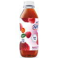 Snapple Zero Sugar Raspberry Tea, 16 fl oz recycled plastic bottle, Pack of 12 Zero Sugar Raspberry 16 Fl Oz (Pack of 12)