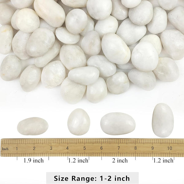 YISZM 5lbs White River Rocks, 1-2 Inch Natural Pebbles for Indoor Plants, High Polished Decorative Stones Vase Filler Fish Tank Aquariums