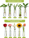 XXXFLOWER Wall Hanging Propagation Station with Wooden Stand 15 Tubes Beige 15 Tube Vases