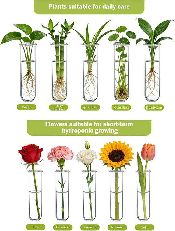 XXXFLOWER Wall Hanging Propagation Station with Wooden Stand 15 Tubes Beige 15 Tube Vases
