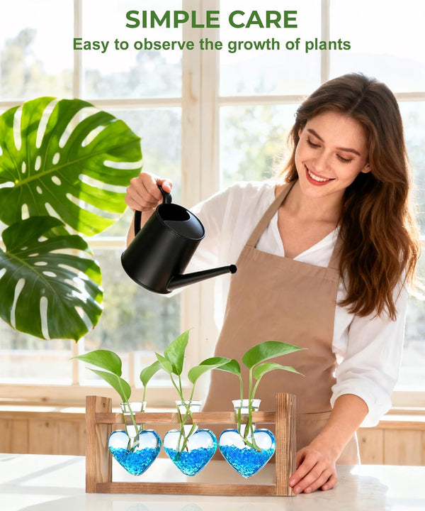 Nacome Plant Terrarium with Wooden Stand, 3 Heart Bulb Glass Vases Transparent