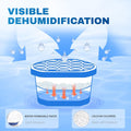 Vacplus Moisture Absorbers 6 Pack, 10.5 Oz Portable Humidity Absorber Boxes for Your Bathroom, Closet & Car, Dehumidifier with Fragrance Free,
