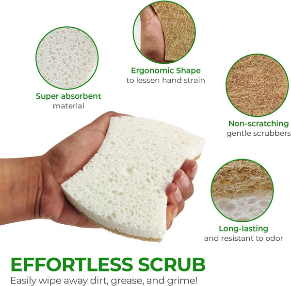 AIRNEX Natural Kitchen Sponges (12 Pack) - Biodegradable Cellulose & Coconut Scrubber Dish Sponge for Kitchen - Eco-Friendly, Non Scratch,