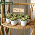 T4U 2.5 Inch Small White Succulent Planter Pots with Bamboo Tray round Set of 12, Ceramic Succulent Air Plant Flower Pots Cactus Faux Plants
