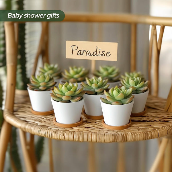 T4U 2.5 Inch Small White Succulent Planter Pots with Bamboo Tray round Set of 12, Ceramic Succulent Air Plant Flower Pots Cactus Faux Plants