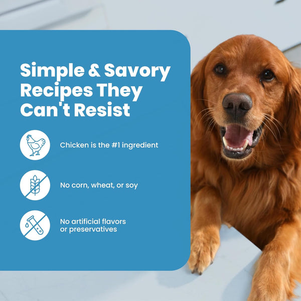 Blue Buffalo Nudges Chicken Jerky Bites Natural Dog Treats, Tender & Meaty Dog Snacks, Healthy Reward or Training Treat, Made in the USA with Real