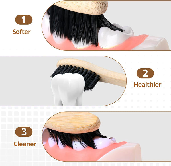 Virgin Forest Bamboo Toothbrushes 10pk, Soft Biodegradable BPA Free Eco Oral Care Soft bristles（10）