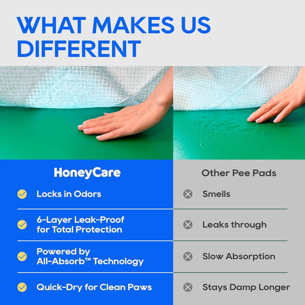 Honey Care All-Absorb, Small 17.5" X 23.5", 120 Count, Dog and Puppy Training Pads, Ultra Absorbent and Odor Eliminating, Leak-Proof 5-Layer Potty
