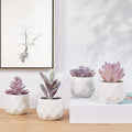CADNLY Fake Succulent Plant Set - Artificial Desk Plants for Women Desk - Realistic Faux Succulents in Ceramic Pots - Mini Purple Decor for