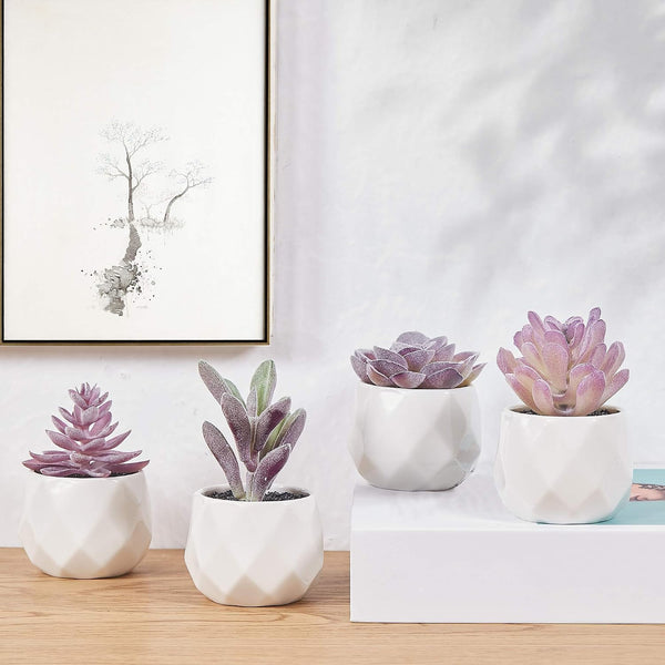 CADNLY Fake Succulent Plant Set - Artificial Desk Plants for Women Desk - Realistic Faux Succulents in Ceramic Pots - Mini Purple Decor for