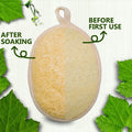 Natural Loofah Bath Exfoliation Body Scrubber, 3 Pack | Shower Sponge, Eco-Friendly Biodegradable, Exfoliating Scrubber, Women & Men, Beige