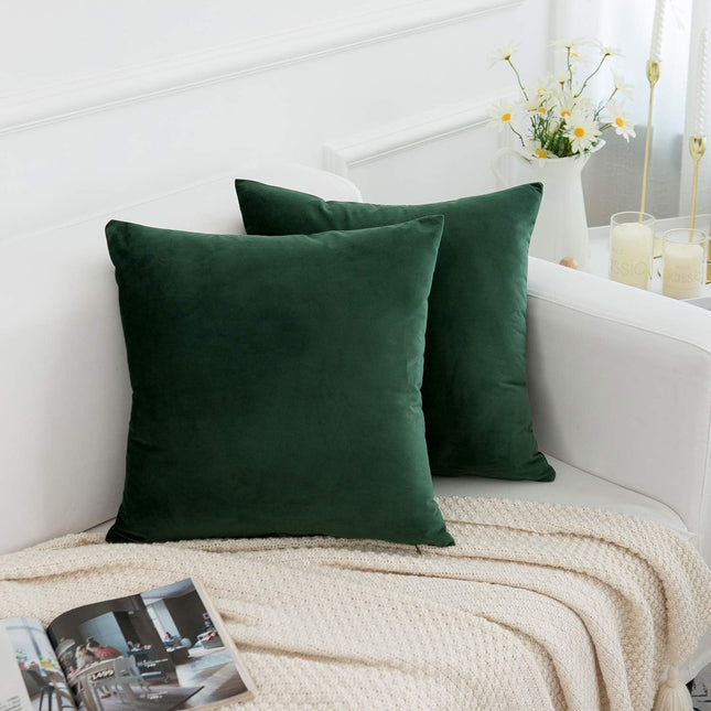 Rainroad Velvet Decorative Throw Pillow Covers Cushion Cover Pillow Case for Sof