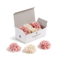 U Brands Flower Magnets for Fridge, 12 Count, Cute Magnets for Locker Blush and Cream Flowers