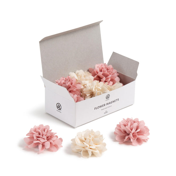 U Brands Flower Magnets for Fridge, 12 Count, Cute Magnets for Locker Blush and Cream Flowers